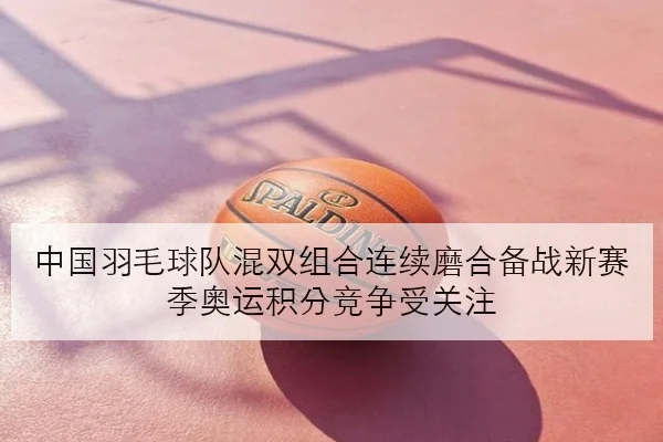 中国羽毛球队混双组合连续磨合备战新赛季奥运积分竞争受关注